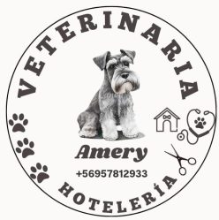 VETERINARIA Y HOTELERIA A MERY